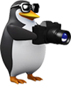 Fotograf in actiune